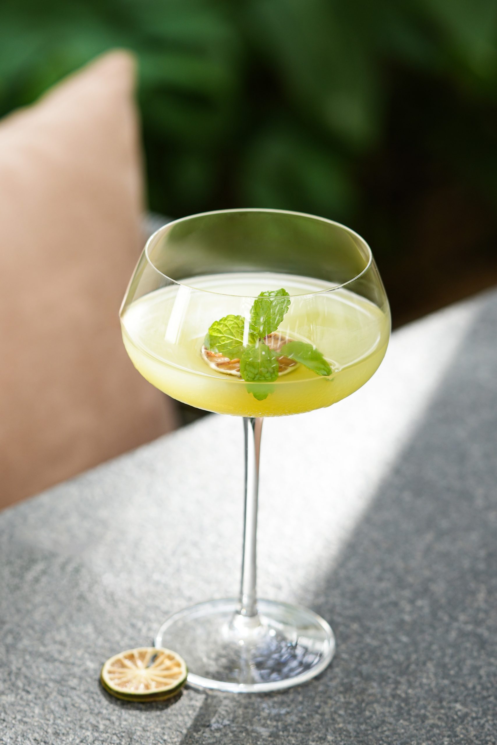 Basil Coupe 3 -compressed